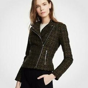 Ann Taylor Tweed Moto Jacket